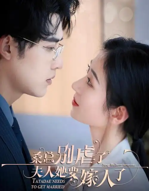 千灯巷 悬疑剧在线观看